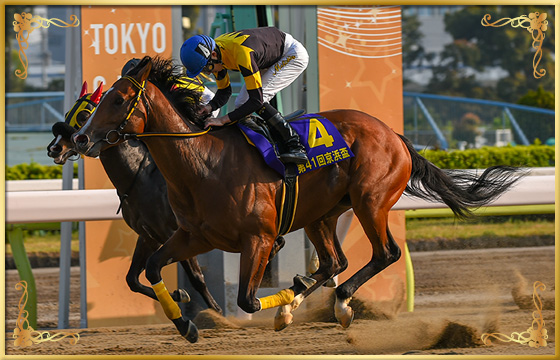 2018年優勝馬　ヤマノファイト号