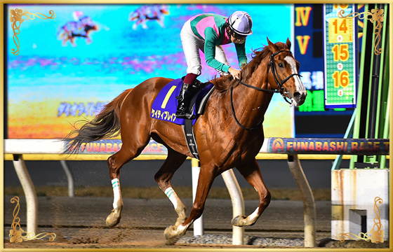 2018年優勝馬　ケイティブレイブ号