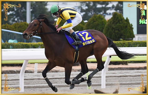 2018年優勝馬　クラージュドール号