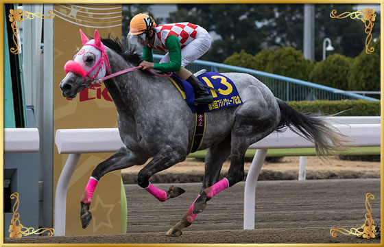 2018年優勝馬　リッカルド号