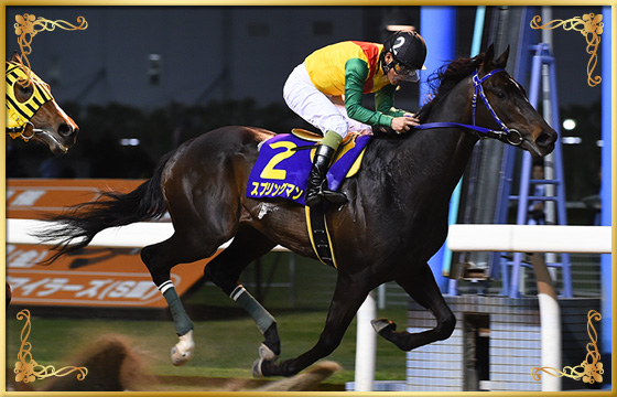 2018年優勝馬　スプリングマン号