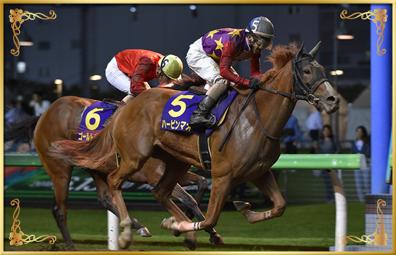 2018年優勝馬　ハービンマオ号