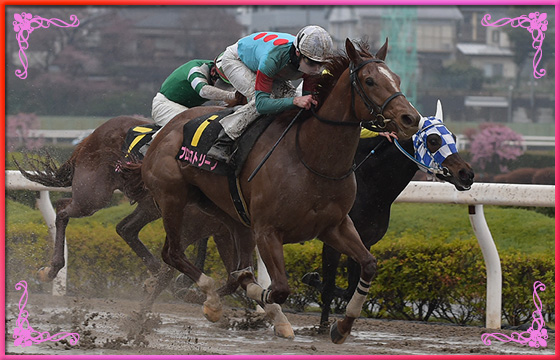 2018年優勝馬　プロミストリープ号