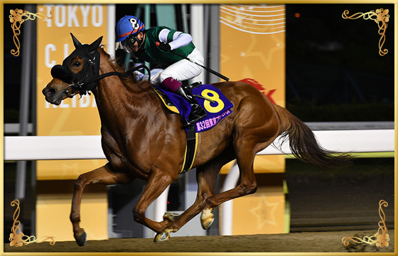 2018年優勝馬　グラヴィオーラ号