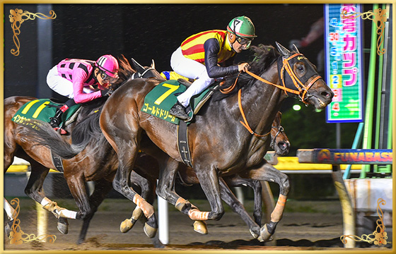 2018年優勝馬 ゴールドドリーム号