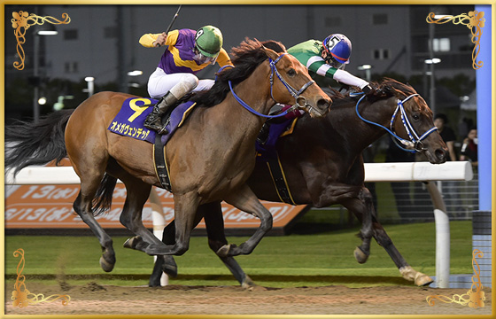 2018年優勝馬　ウェイトアンドシー号(内)