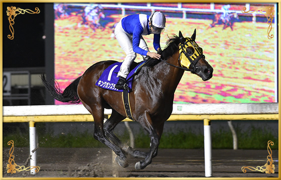 2018年優勝馬　キングガンズラング号