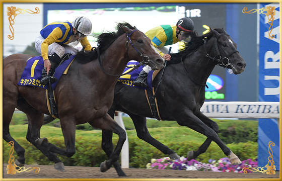 2018年優勝馬 サクセスエナジー号(内)