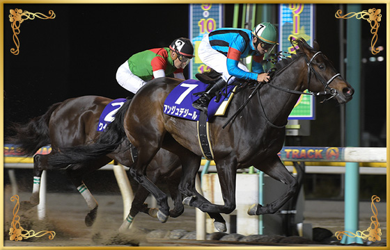 2018年優勝馬 アンジュデジール号