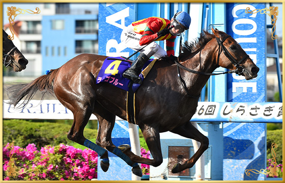 2018年優勝馬　ラーゴブルー号