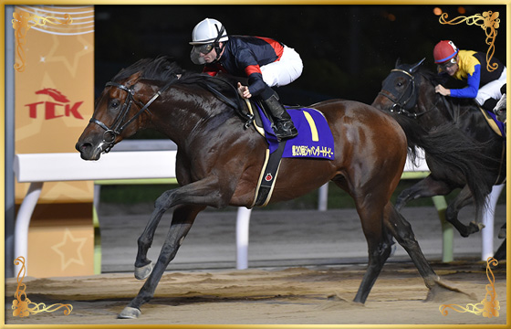 2018年優勝馬　ルヴァンスレーヴ号