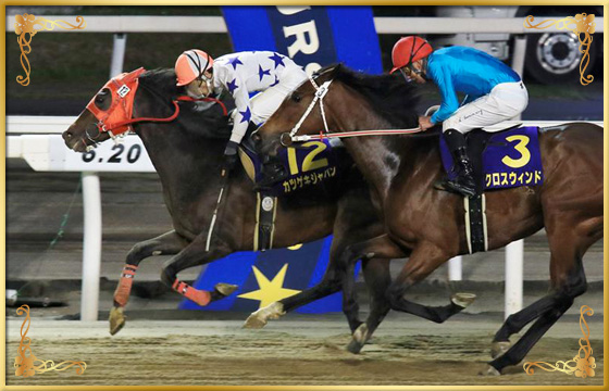 2018年優勝馬 カツゲキジャパン号(内)