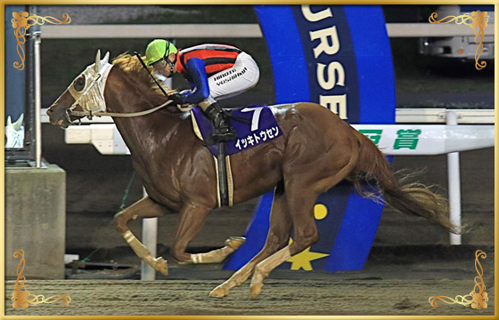 2018年優勝馬　イッキトウセン号