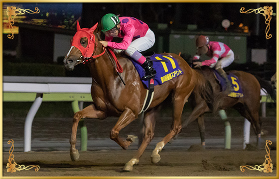 2018年優勝馬　クルセイズスピリツ号