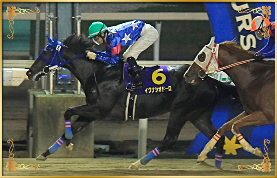 2018年優勝馬 イグナシオドーロ号