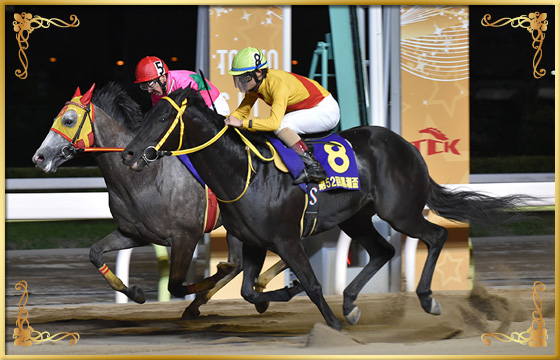 2018年優勝馬　クロスケ号(外)