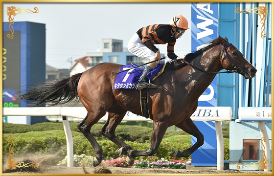 2018年優勝馬　キタサンミカヅキ号