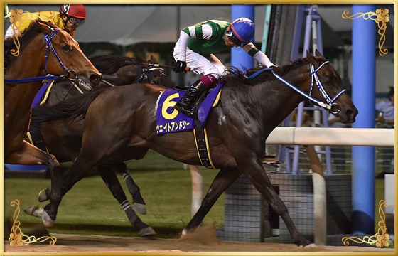 2018年優勝馬　ウェイトアンドシー号