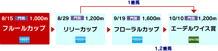 体系図　～ホッカイドウ競馬2歳牝馬～