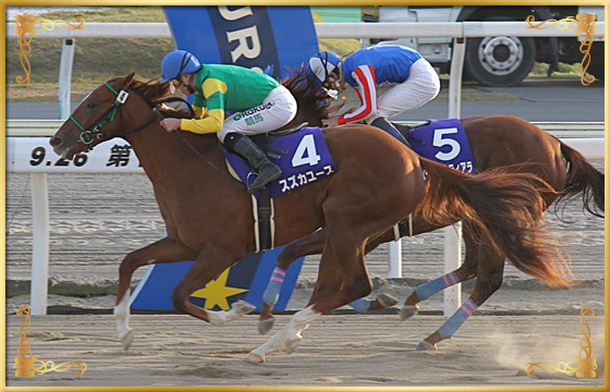 2018年優勝馬　スズカユース号