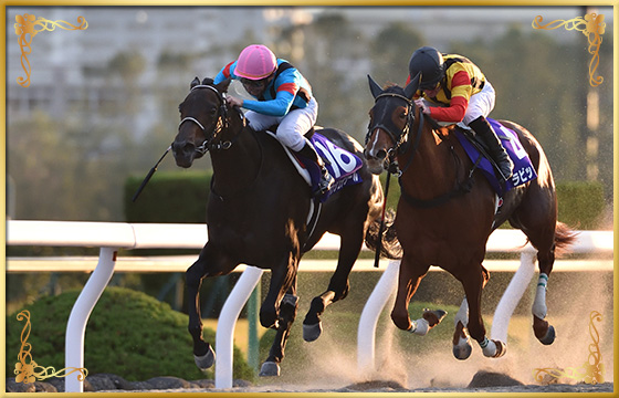 2018年優勝馬 アンジュデジール号(内)