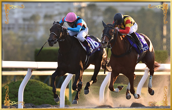 2018年優勝馬　アンジュデジール号(内)