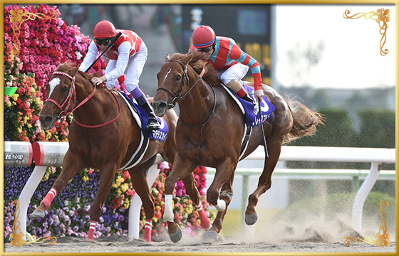 2018年優勝馬　グレイスフルリープ号(外)