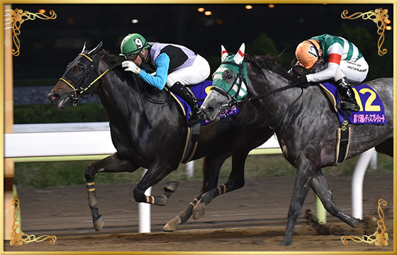 2018年優勝馬　プリンシアコメータ号