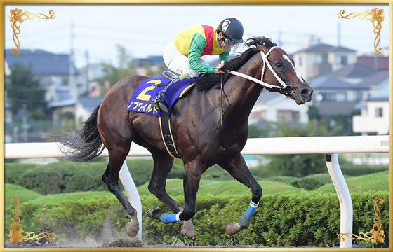 2018年優勝馬 ノブワイルド号