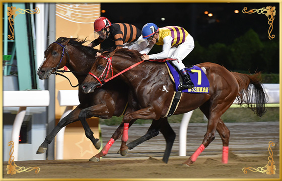 2018年優勝馬 キタサンミカヅキ号(内)