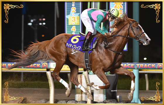 2018年優勝馬　ケイティブレイブ号