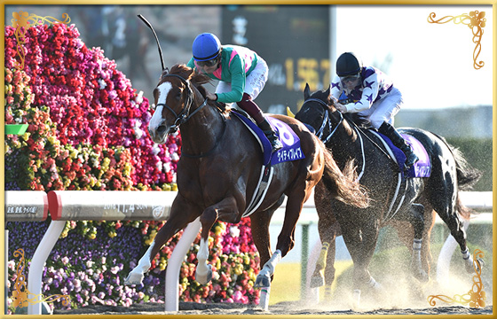 2018年優勝馬 ケイティブレイブ号