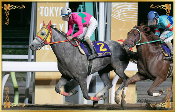 2018年優勝馬　クリスタルシルバー号