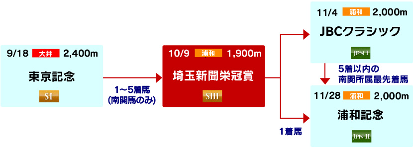 体系図　～3歳以上中長距離～