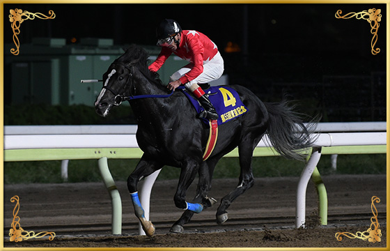 2018年優勝馬　シュテルングランツ号