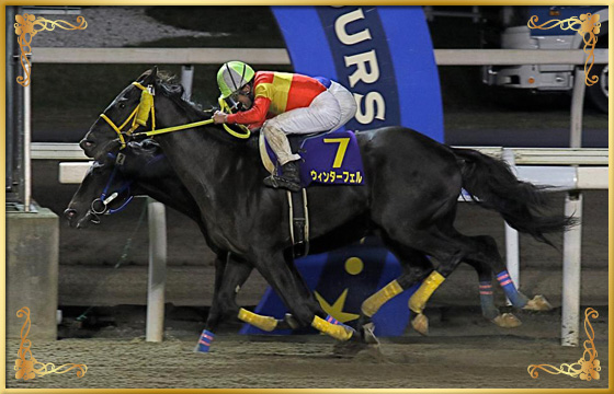 2018年優勝馬 イグナシオドーロ号(内)