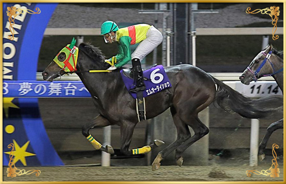 2018年優勝馬 エムオータイショウ