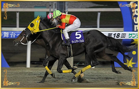 2018年優勝馬 マイコート号(内)