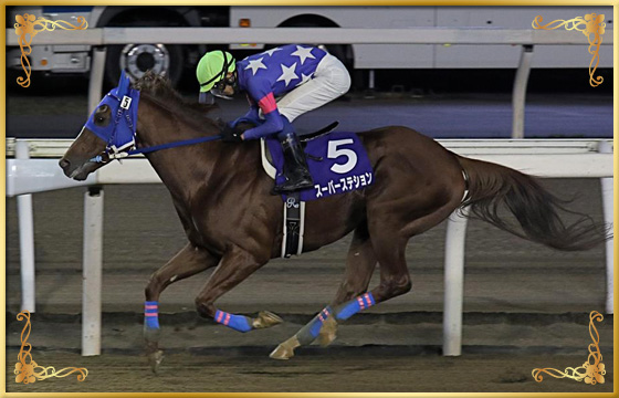 2018年優勝馬　スーパーステション号