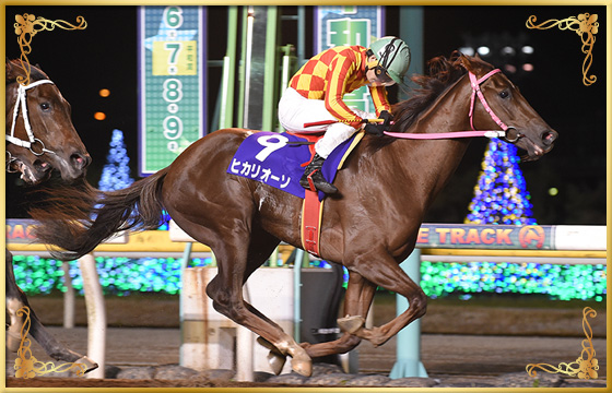 2018年優勝馬　ヒカリオーソ号