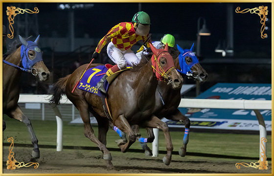 2018年優勝馬　アークヴィグラス号