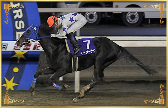 2018年優勝馬 イージーナウ号