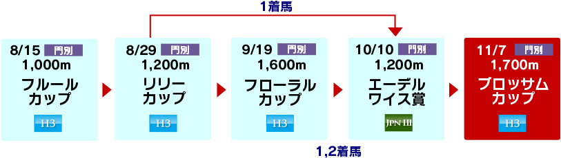 体系図　～ホッカイドウ競馬2歳牝馬～