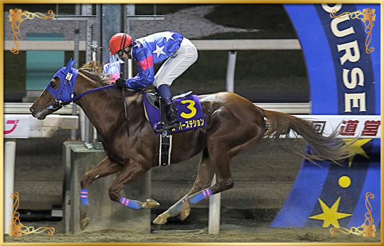 2018年優勝馬 スーパーステション号