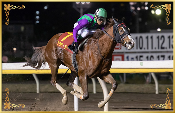 2018年優勝馬 アイアンテーラー号