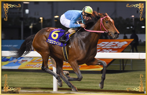 2018年優勝馬　クロスウィンド号