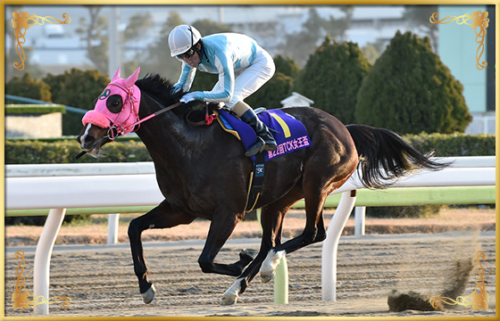 2019年優勝馬 ビスカリア号