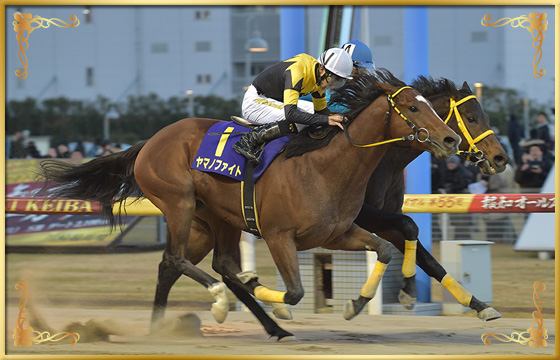 2019年優勝馬　ヤマノファイト号