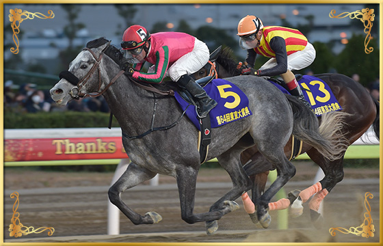 2018年優勝馬 オメガパフューム号