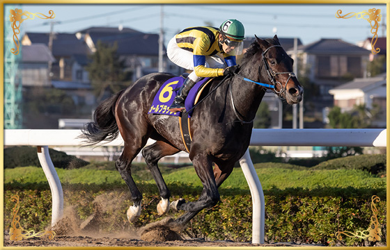 2018年優勝馬　オールブラッシュ号